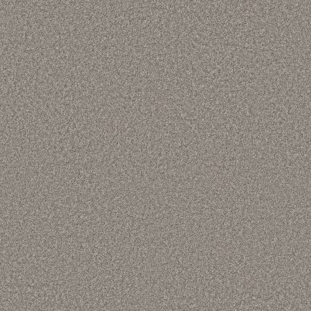 Shaw Floors PET PERFECT PLUS Just A Hint I Sterling