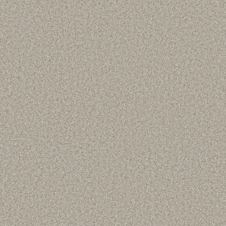 Shaw Floors PET PERFECT PLUS Just A Hint I Fog
