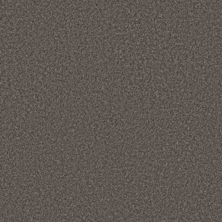 Shaw Floors PET PERFECT PLUS Just A Hint I Steel