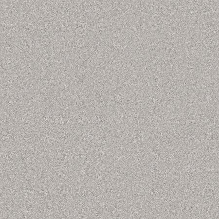 Shaw Floors PET PERFECT PLUS Just A Hint I Nickel