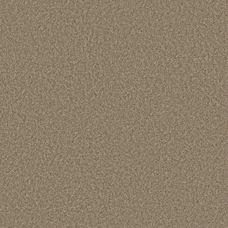 Shaw Floors PET PERFECT PLUS Just A Hint I Khaki