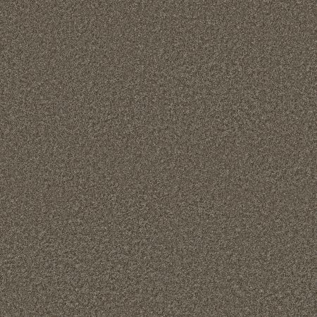 Shaw Floors PET PERFECT PLUS Just A Hint I Mink