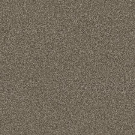 Shaw Floors PET PERFECT PLUS Just A Hint I Dreamy Taupe