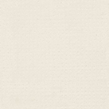 Shaw Floors FOUNDATIONS Perpetual Move Crisp Linen