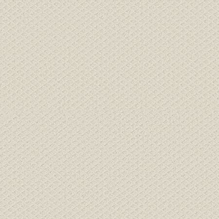 Shaw Floors FOUNDATIONS Entwined With You Crisp Linen