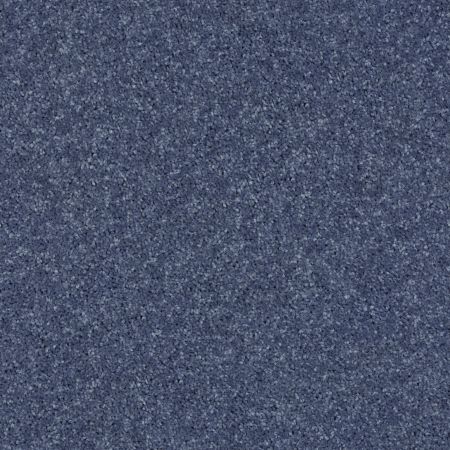 Shaw Floors SFA Take Part 12 Steel