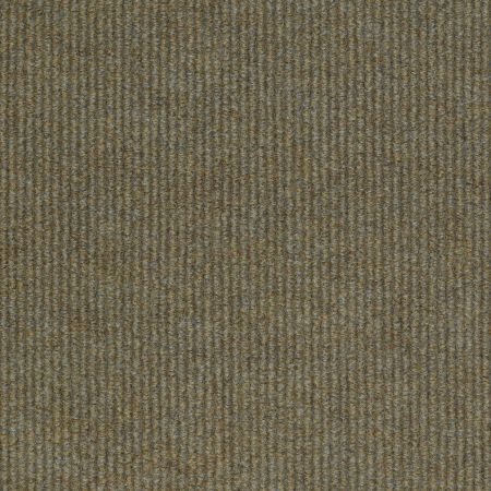 Philadelphia Commercial SUMMER STOCK Dragonfly