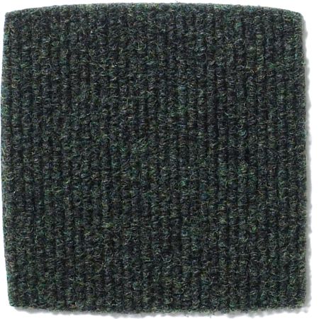 Philadelphia Commercial BACKDROP I 12 Forest Night