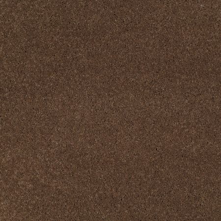 Shaw Floors Nfa/Apg Barracan I Great Plains