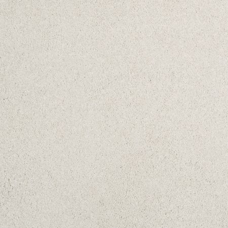 Shaw Floors Nfa/Apg Barracan Iv Suffolk