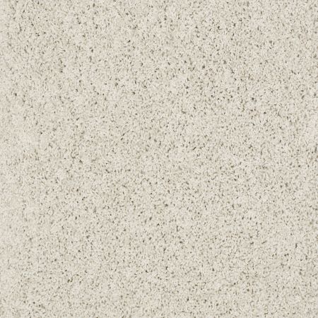 Shaw Floors Nfa/Apg Detailed Style III Polar