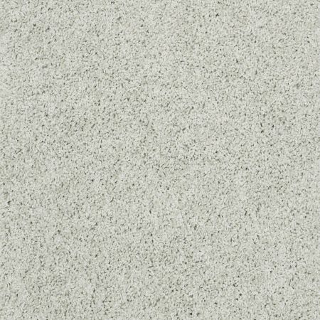 Shaw Floors Nfa/Apg Detailed Style III Crystal Blue