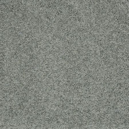 Shaw Floors Nfa/Apg Detailed Style III Fairy Tale