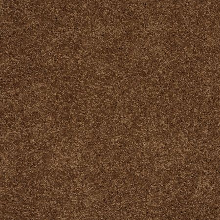 Shaw Floors Nfa/Apg Detailed Style III Cabin