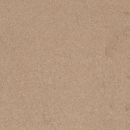 Shaw Floors Nfa/Apg Endura I 12' Marzipan