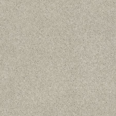 Shaw Floors Nfa/Apg Barracan Classic I Spearmint