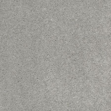 Shaw Floors Nfa/Apg Barracan Classic I Haze