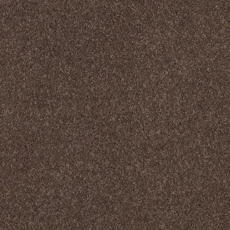 Shaw Floors Nfa/Apg Barracan Classic I Spring - Wood