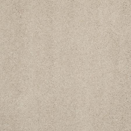 Shaw Floors Nfa/Apg Barracan Classic II Suede