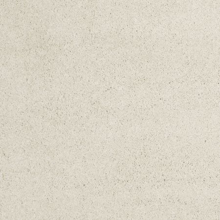 Shaw Floors Nfa/Apg Barracan Classic III Fresh Cream