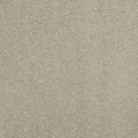 Shaw Floors Nfa/Apg Barracan Classic Iv Spruce