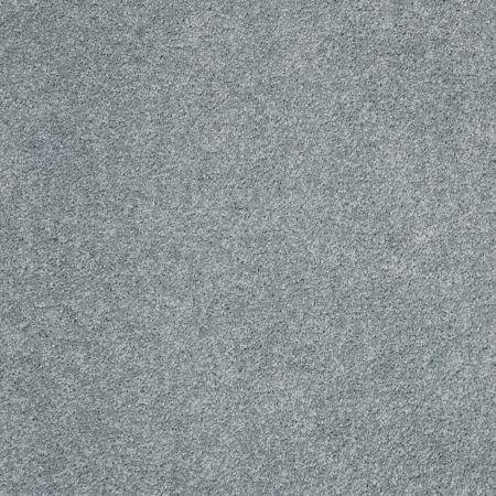 Shaw Floors Nfa/Apg Barracan Classic Iv Wedgewood