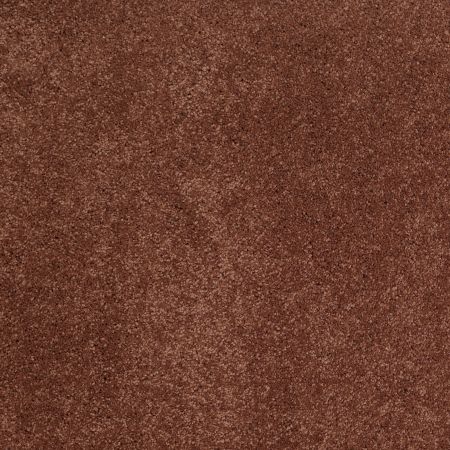 Shaw Floors Nfa/Apg Barracan Classic Iv Rich Henna
