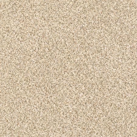 Shaw Floors Nfa/Apg Pekin Classic I Toasted Grain