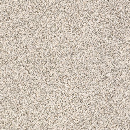 Shaw Floors Nfa/Apg Pekin Classic II Heath