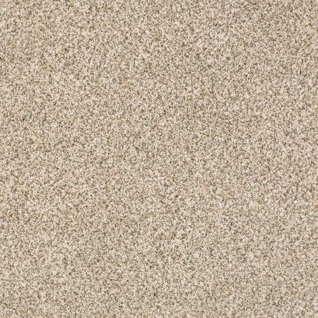 Shaw Floors Nfa/Apg Pekin Classic II Cavern