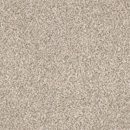 Shaw Floors Nfa/Apg Pekin Classic III Granite