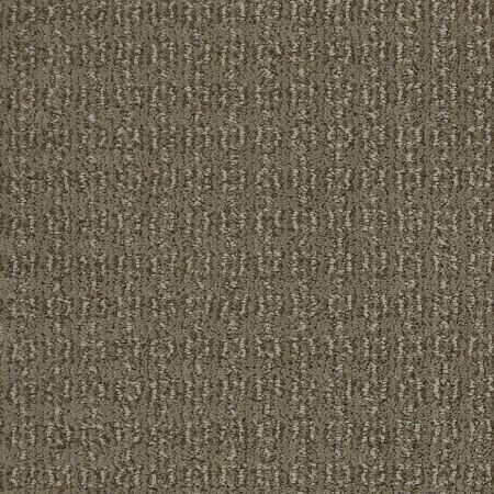 Shaw Floors Nfa/Apg Chic Classic Tibetan Plateau