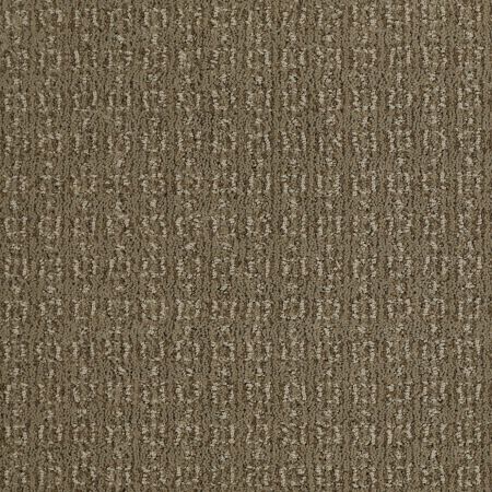 Shaw Floors Nfa/Apg Chic Classic Welsh Hill