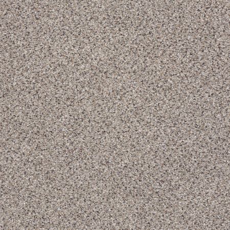 Shaw Floors Nfa/Apg Graceful Texture Accent Quartz