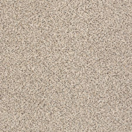 Shaw Floors Nfa/Apg Elegant Texture Accent Bistro