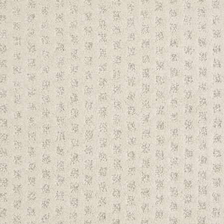 Shaw Floors Nfa/Apg Narrow Creek Mohair