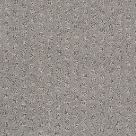 Shaw Floors Nfa/Apg Narrow Creek Lady In Grey