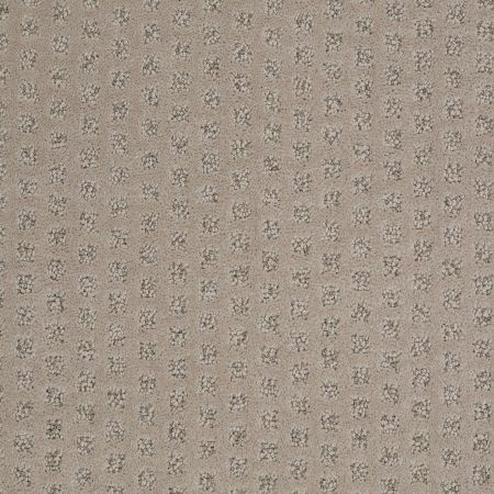 Shaw Floors Nfa/Apg Narrow Creek Dundee