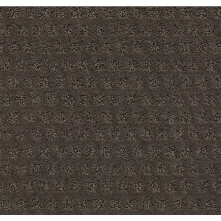 Shaw Floors Nfa/Apg Narrow Creek Glacier Park