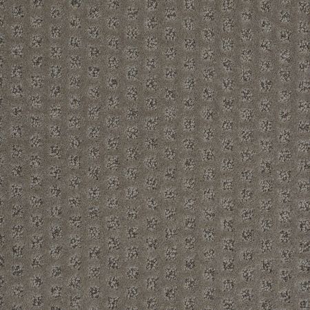 Shaw Floors Nfa/Apg Narrow Creek Essex