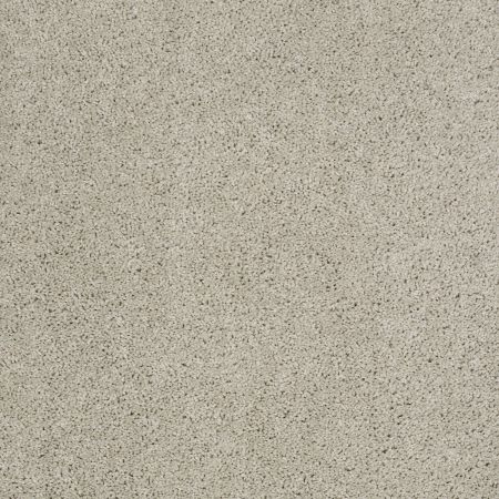 Shaw Floors Nfa/Apg Phenomenal II Cold Water