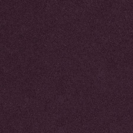 Shaw Floors Nfa/Apg Phenomenal II Grape Fizz