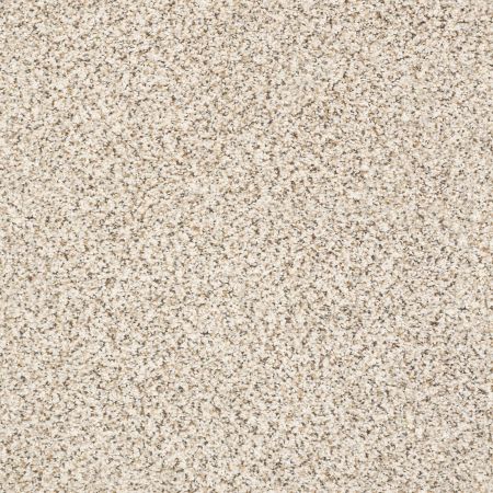 Shaw Floors Nfa/Apg Vigorous Mix II Swiss Coffee