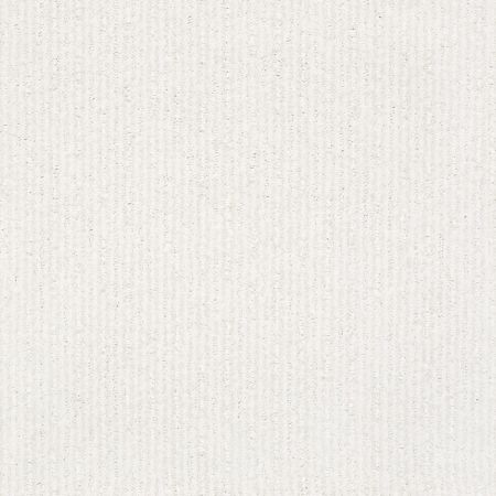 Shaw Floors Nfa/Apg Well Informed White Hot