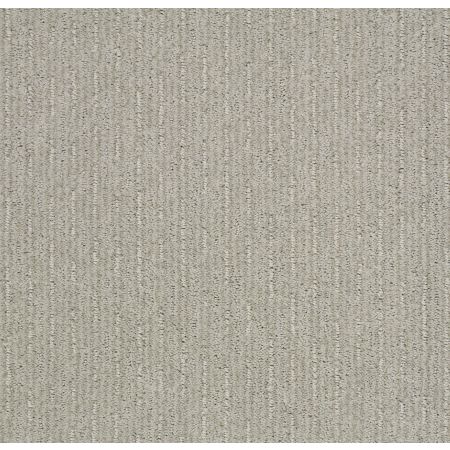 Shaw Floors Nfa/Apg Well Informed Quiet Moment