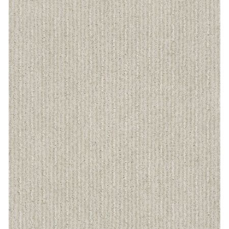 Shaw Floors Nfa/Apg Well Informed Alabaster