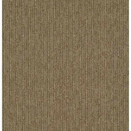 Shaw Floors Nfa/Apg Well Informed Summerville