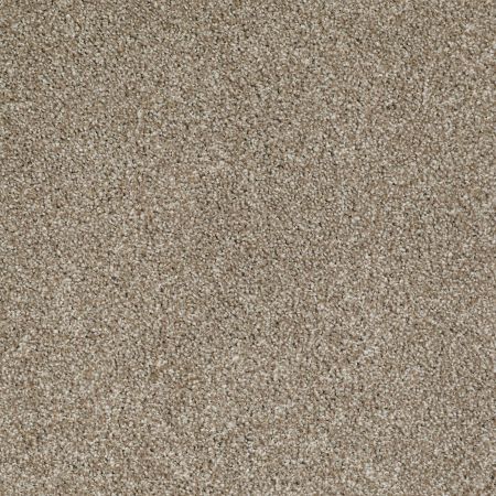 Shaw Floors Nfa/Apg On The Brink I Warmth