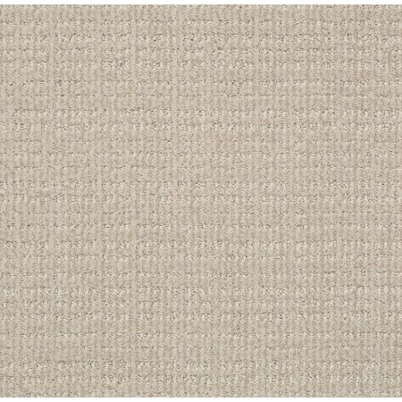 Shaw Floors Nfa/Apg Craftsman Studio Taupe