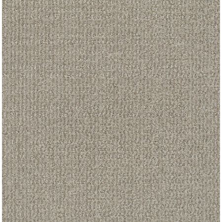 Shaw Floors Nfa/Apg Craftsman Silhouette